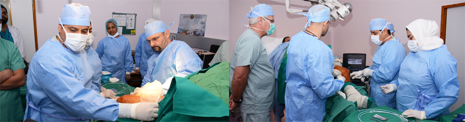 Vascular Surgery